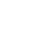 icons8-secure-100