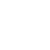 icons8-secure-100